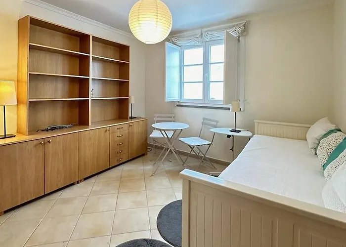 New!! 2 Bedroom Center Alvares Botelho Apartament